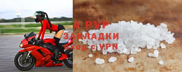 гидра Богородицк