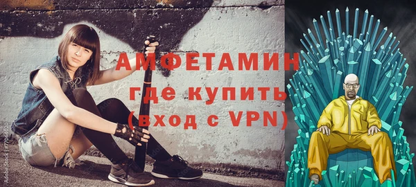 гидра Богородицк