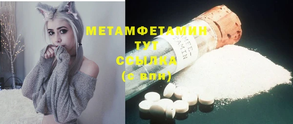 гидра Богородицк