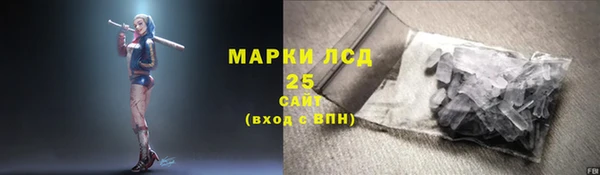 гидра Богородицк