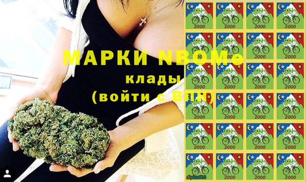 гидра Богородицк