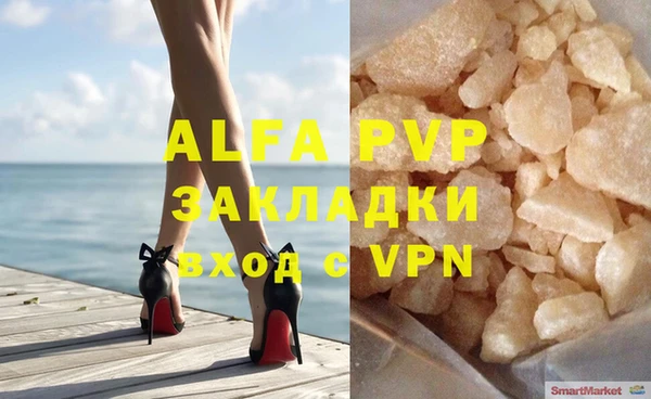 гидра Богородицк