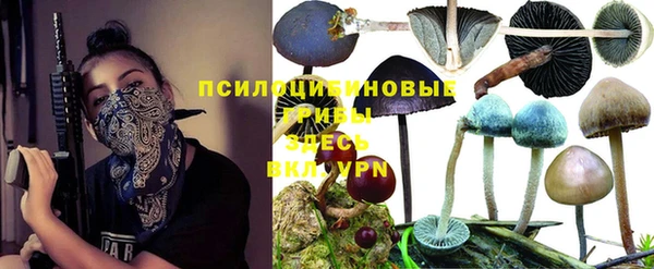 ALPHA PVP Богородск