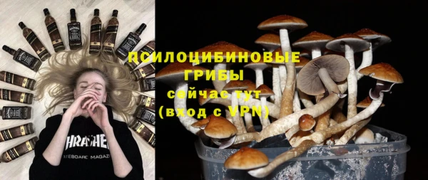 ALPHA PVP Богородск