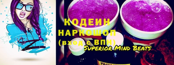 гидра Богородицк