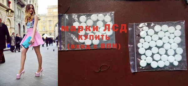 гидра Богородицк