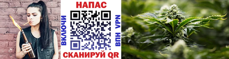Купить  Кяхта  Бошки Шишки Bruce Banner 